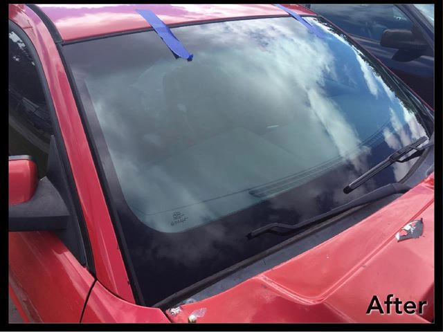 104198347_164223271765829_7296209008134705072_o (1)